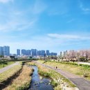 스타벅스 양주옥정공원점 | 경기 북부 아이와 갈만한곳: 양주옥정 호수공원 맨발걷기체험, 4인용 자전거