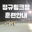 플레임스인라인하키클럽 이미지