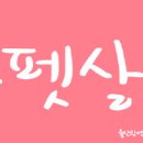 봄이네 펫살롱 이미지