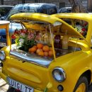 출입국전문 행정사 이미지