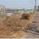 경춘북로 헤럴드경제