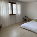 거슬러 오른집 이미지