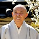 해인 카카오 검색결과