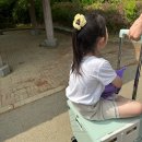 처인광장_R | 에버랜드 산리오 튤립축제 포토존 판다월드 평일 방문 후기