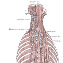 몸바른한의원 이미지
