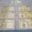 BIFF광장 이미지