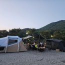 운교랜드 네이버블로그