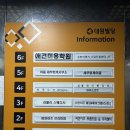 둔산동미용실 _ 대전야외웨딩스냅 웨딩메이크업 둔산동 비안이즈