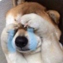 오타쿠