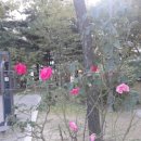 등촌근린공원 이미지