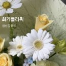 양덕동579 | 마산 합성동꽃집 찾으신다면 화가플라워 꽃다발 추천