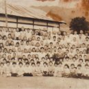 1948년 창락초등학교 전교생 (1~5학년) 이미지