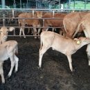 세림농장 이미지