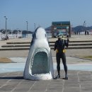 상어지 수변공원 이미지