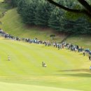 플레이 골프 이미지