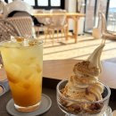 우도에 가면 | 제주도 우도 전기차 천진낭만 비양카페 후기