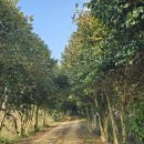 정비사업 행정법률 사무소 이미지