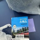 서변동 작은도서관 | 대구 북구 서변숲도서관에서 만난 스위스, 책으로 떠나는 유럽 여행 🌲📚✈️