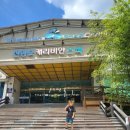 진양호캐리비안 | 진주가볼만한곳 진양호 캐리비안 스파 8월 방문 후기