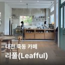 프린트카페충남대서문점 | 리풀 (Leafful) :: 대전 죽동 유럽 감성 카페 • 충남대 디저트 맛집 / 내돈내산 솔직후기
