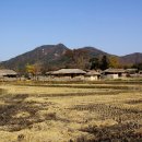 외암마을 이미지