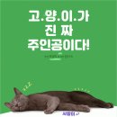 나만없어고양이 이미지