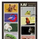 에코동물병원 이미지