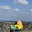 노라바 | [제주도애월맛집] 바다뷰 좋은 해물라면맛집으로 유명한 “노라바” 솔직후기