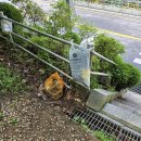 금빛환경 이미지