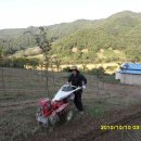 느티나무농장 이미지