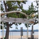 에코풀하우스 이미지