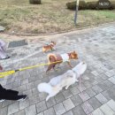 가을 조각 모음집