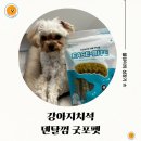 별덴탈 | 강아지치석 제거에 도움이 되는 덴탈껌 굿포펫 후기