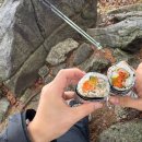 애란네김밥 네이버블로그