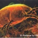 홈크리닝 이미지