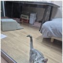 디바인영어학원