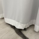 🍀 더 더워지기 전에 열심히 돌아다니는중