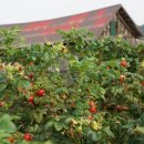 해당화어린이공원 이미지