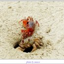 용난굴해수욕장 네이버블로그