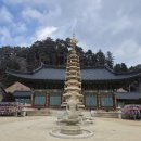 탄허기념박물관 | 강원도 가족여행｜오대산 월정사 탐방 후기 (전각·전나무숲길·힐링타임)