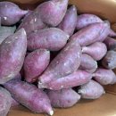 새마을청과