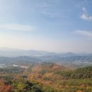 단풍막창