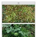 상원민박 이미지