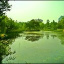 물향기공원 이미지