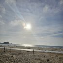 숨비소리 만리포 이미지