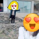 선인장을 부탁해 네이버블로그