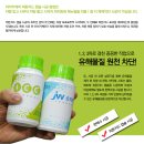 아이카모터스 이미지