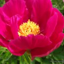 강남-175 이미지