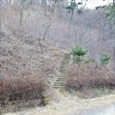 오후의산책 이미지
