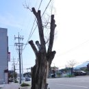 원주시노인종합복지관 문막분관 이미지